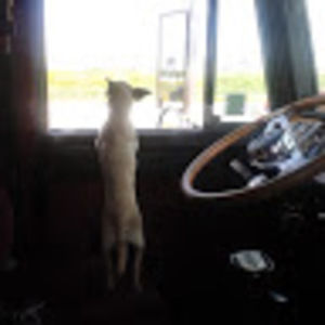 Meet your Posher, C and g